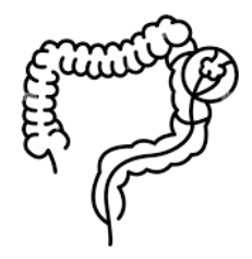 ERCP Test Mumbai.